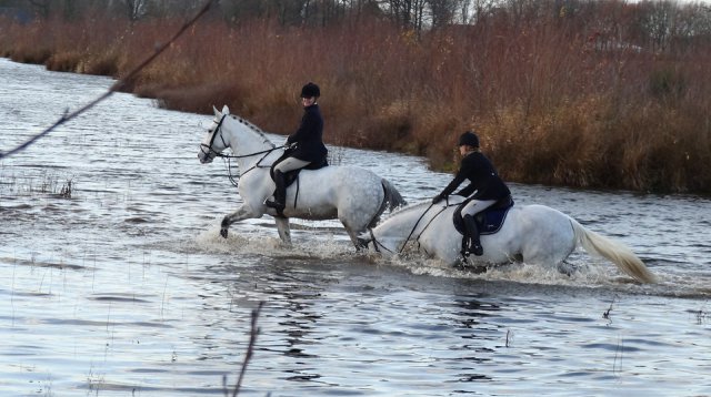 Slipjacht (zaterdag  8 december 2018)